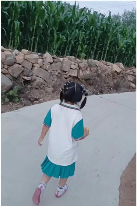 鄉(xiāng)村的黃昏