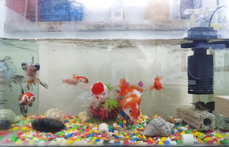 1-201220144SIO 1-201220144SIO