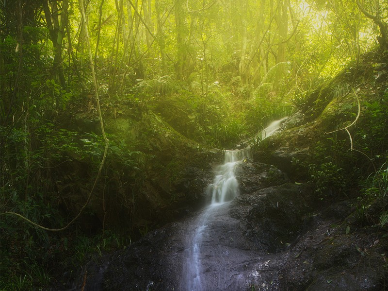 細水長流，持續(xù)學習，忘我工作，共建臻美臨臨——讀《細水長流，忘我工作，重建美麗家園》有感