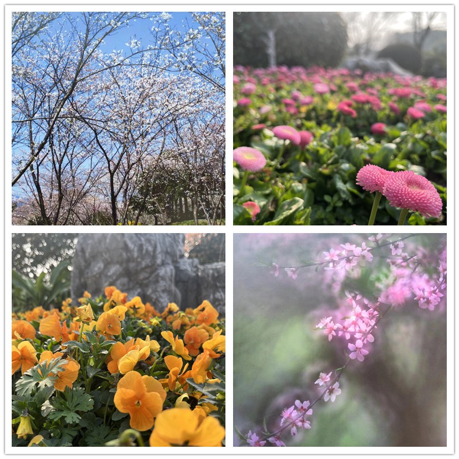 【女神節(jié)專題】一路走來一路拍——于金瀅攝影集之打卡玄武湖、中山陵