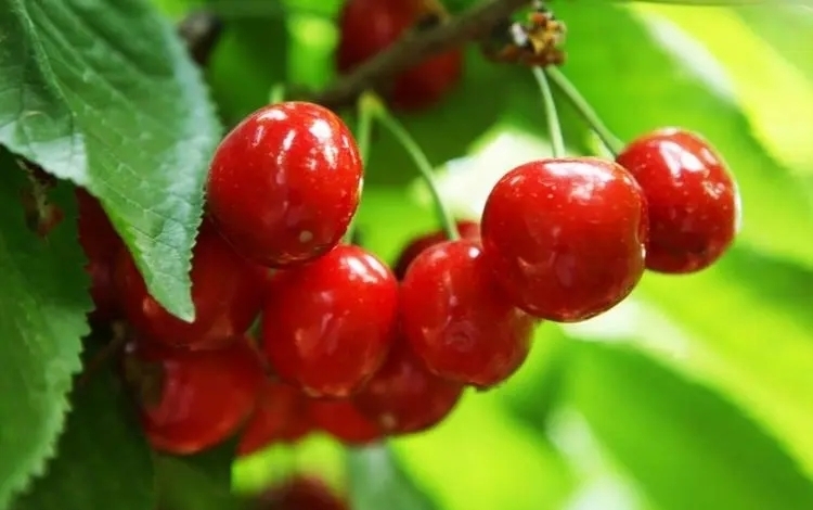 要事優(yōu)先才能有結果