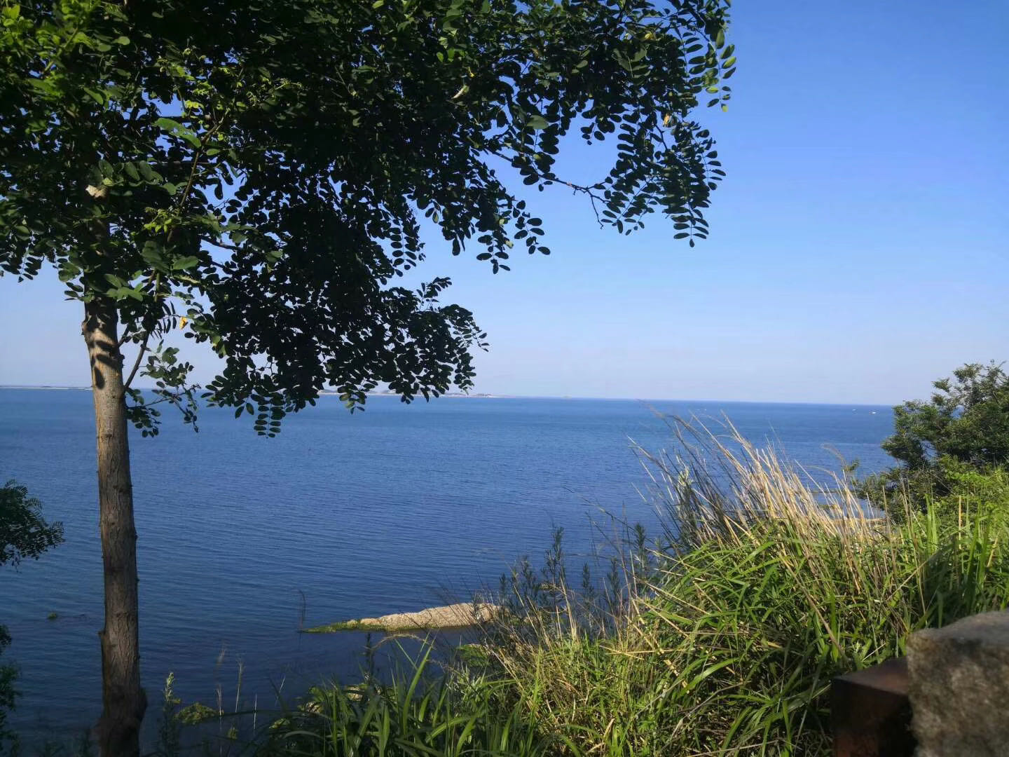 人生之路-不畏艱難，勇往直前