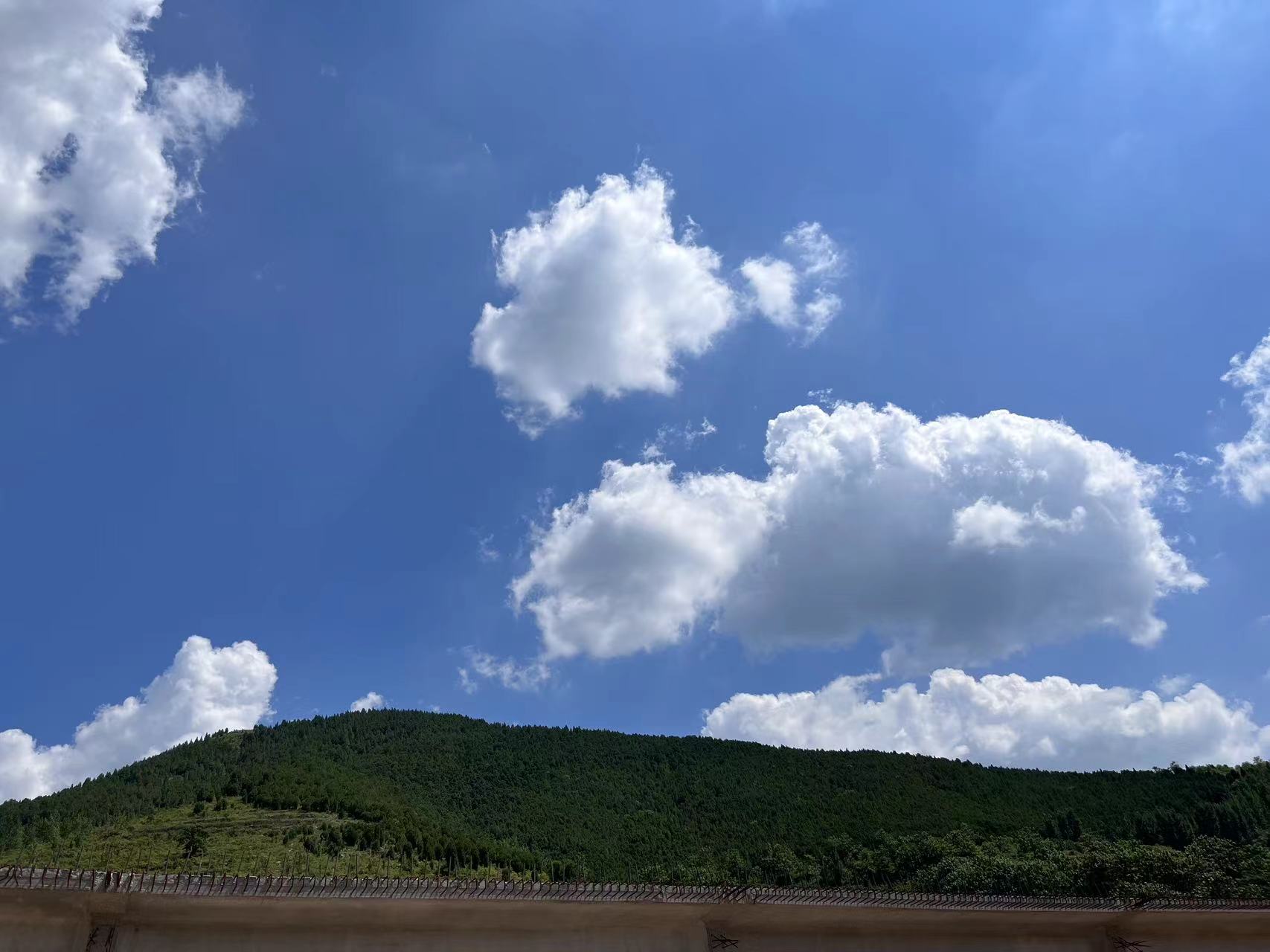 九月，你好！