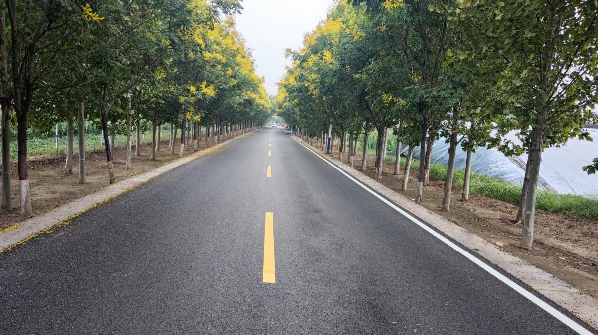 用奮斗為國慶獻禮——臨淄區(qū)四好農(nóng)村路項目國慶獻禮在行動