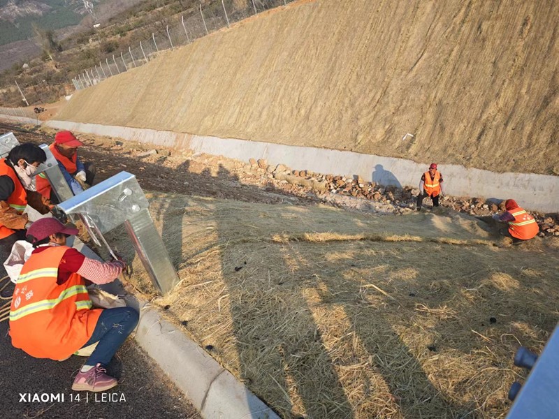 邊坡鋪設植物纖維毯_副本 邊坡鋪設植物纖維毯_副本