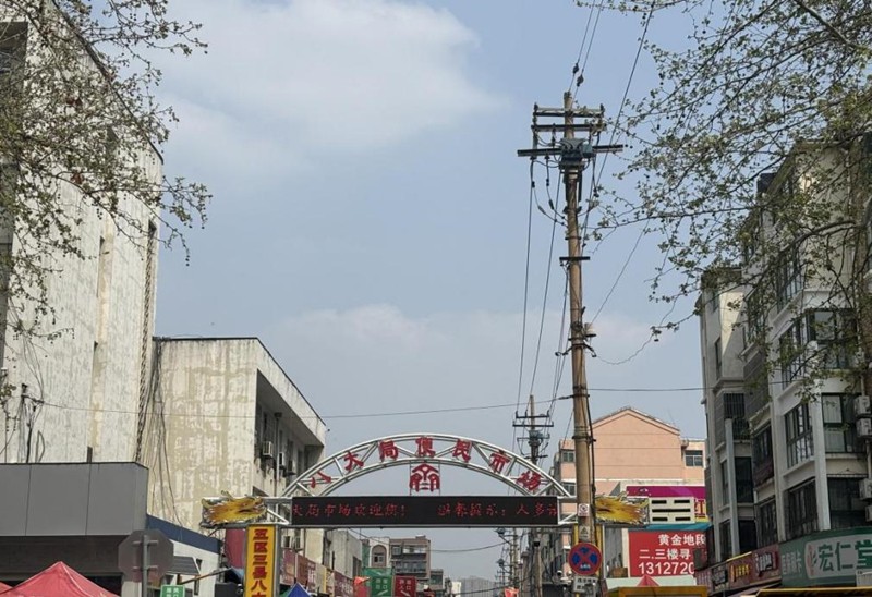 春天，一起去探尋淄博的魅力