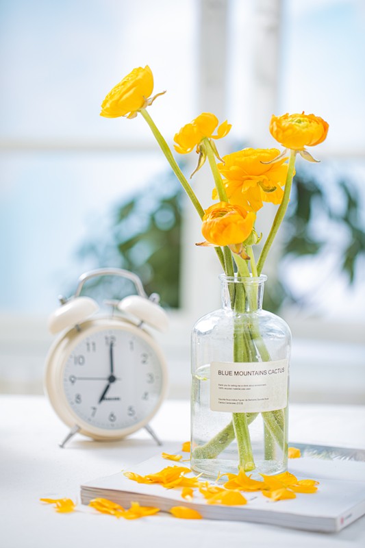 春將遠(yuǎn)，夏將至