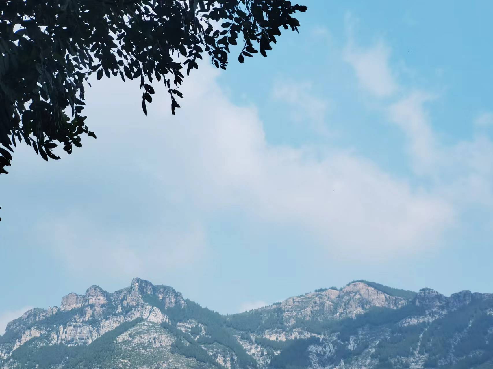 走走停停，不虛此行