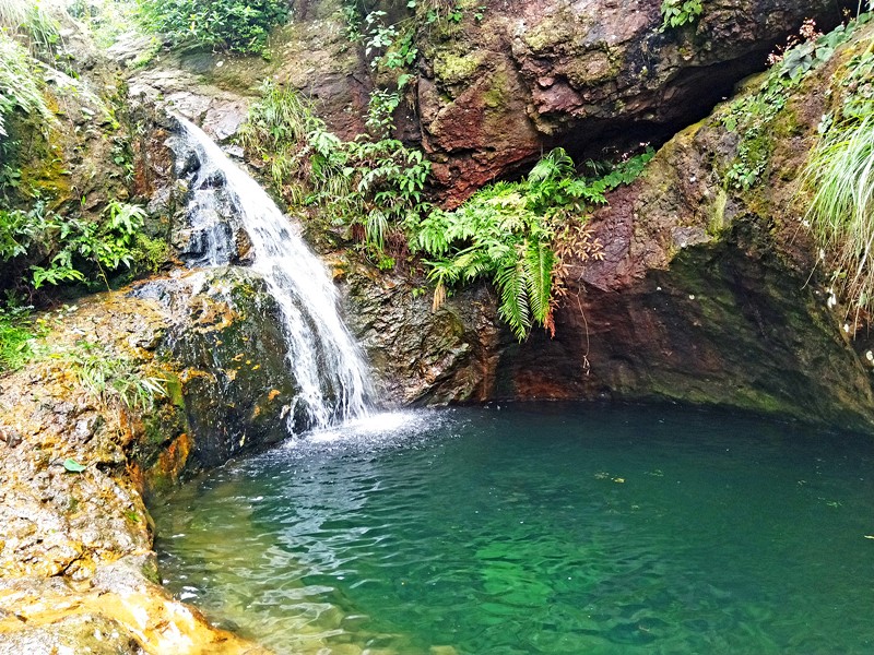 史鐵生有地壇，不是廢棄的古園；我有石澗盤，也不是死水一潭