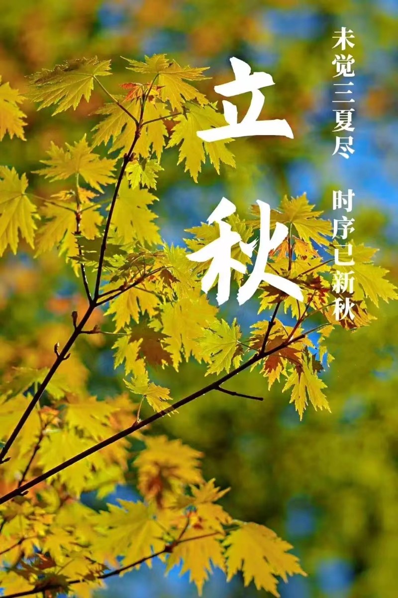 立秋風起，心自清涼