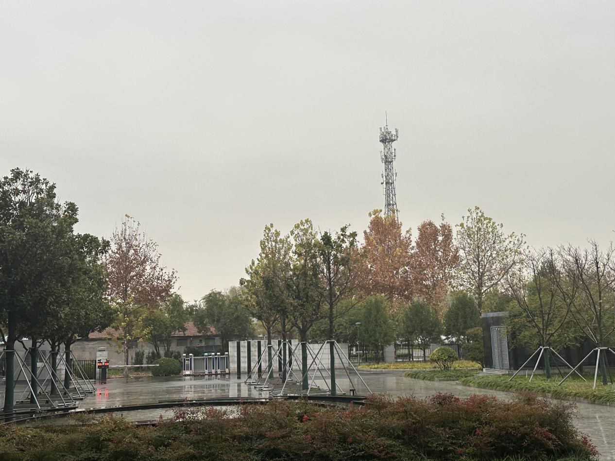 冬雨之韻，生活之色