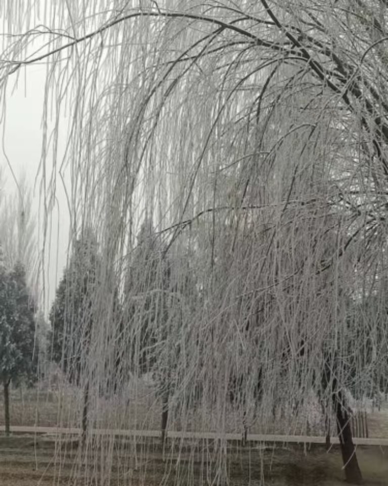 一季之寒，一世之暖