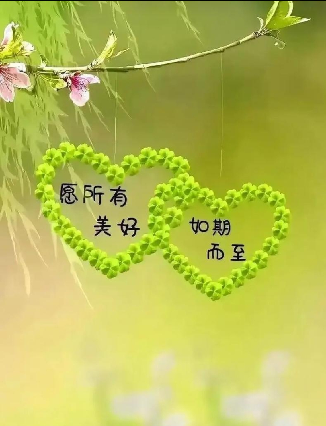 廿載情誼，重逢見(jiàn)暖陽(yáng)