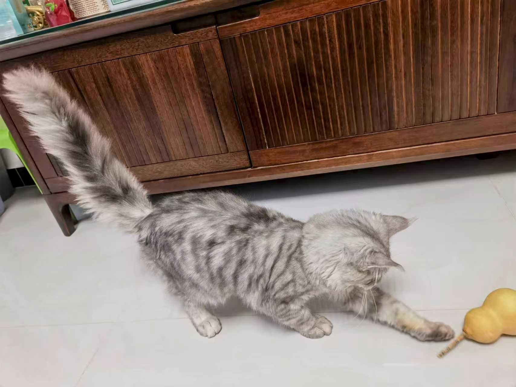 借來的時光，真實的溫暖