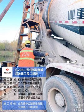 【抓作風(fēng) 創(chuàng)效益】揚(yáng)鞭策馬、勇?tīng)?zhēng)先鋒——郯城G205項(xiàng)目主線(xiàn)樁基施工任務(wù)圓滿(mǎn)完成