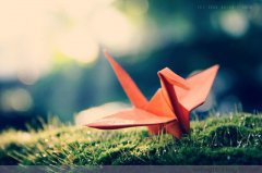 平凡的崗位，不平凡的你