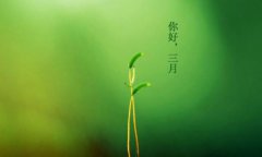 你好，三月！