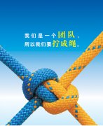 從人力資源部看團結(jié)，淺談對團隊的理解