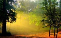 老媽學(xué)書法