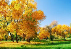 擺正心態(tài)，積極面對