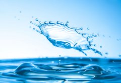 大醫(yī)無為治未病，潤物知時(shí)細(xì)無聲 ——談?wù)勎覀兊墓局卫砼c項(xiàng)目管理