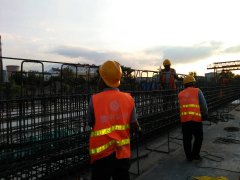 遷徙的候鳥，領(lǐng)略不一樣的風(fēng)景