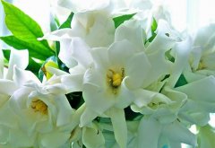 五四之際致魯中公路熱血青年