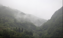 再見(jiàn)，江西！