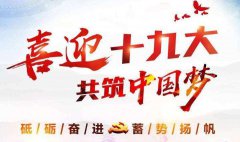 十九大你點(diǎn)贊了嗎？