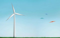 如何實(shí)現(xiàn)夢(mèng)想