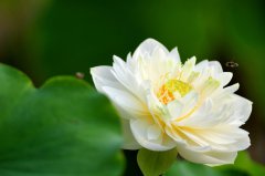 核心價(jià)值觀感悟—敬業(yè)