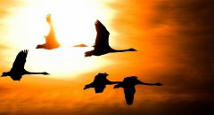 12月，你好！11月，再見！