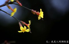 春分將至，我在等你——致徐徐爬行的你