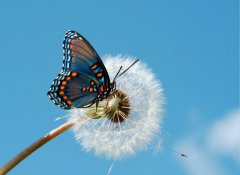 改變，從魯中公路開始