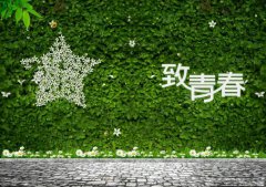 做好青春事，無悔公路情