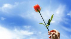 從“新”開(kāi)始