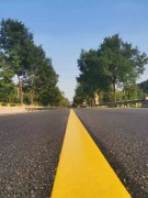 《那些年，那些來時的路》觀后有感