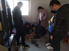 為則通達(dá)，學(xué)無(wú)止境