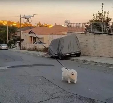 知恥而后勇，知弱而圖強