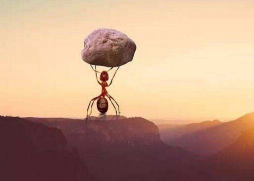 能扛事，不惹事，不怕事！