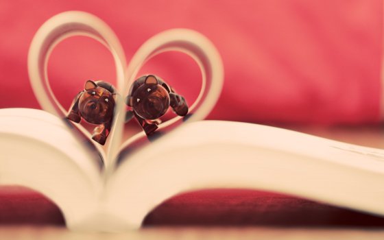 愿有一人，懂你背后所有的苦