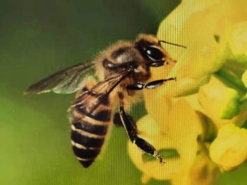 給誰打工？——從“抓作風(fēng) 創(chuàng)效益”想到的