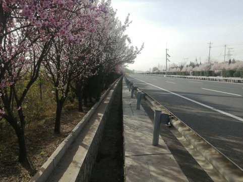 及時(shí)當(dāng)勉勵(lì)，歲月不待人