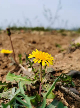 滿懷希望，走向未來