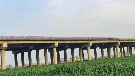 魯中公路的春天：第六區(qū)域項目部攝影作品